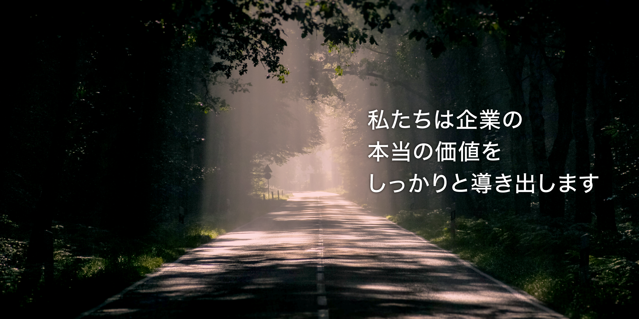 私たちは企業の本当の価値をしっかりと導き出します