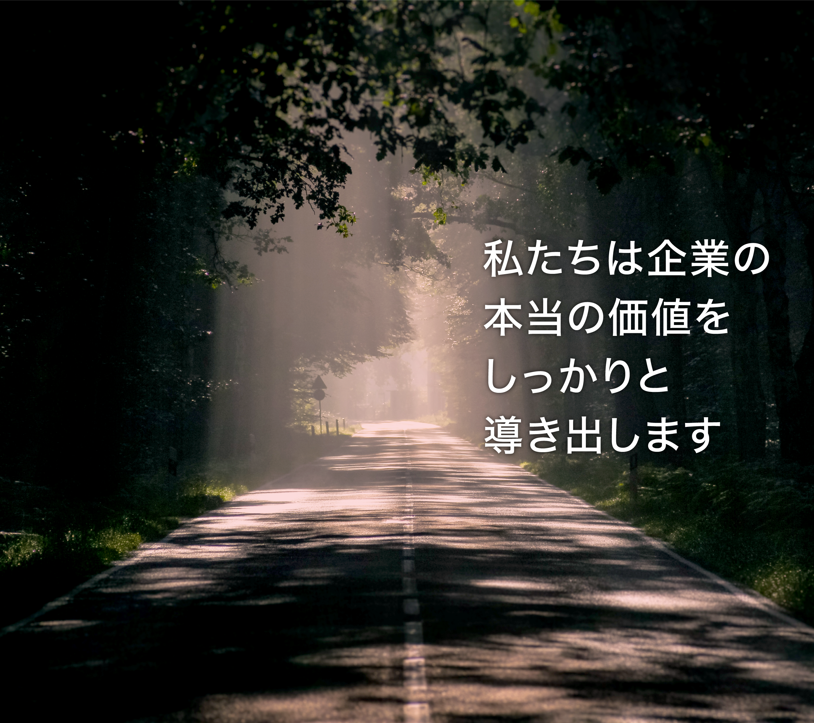 私たちは企業の本当の価値をしっかりと導き出します